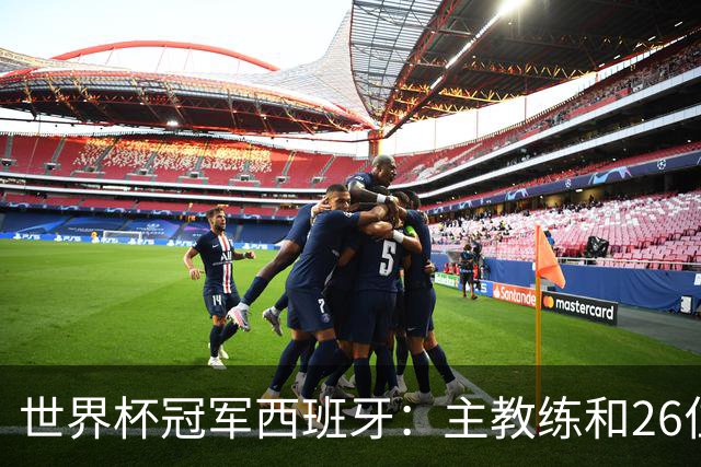 世界杯冠军西班牙：主教练和26位球员出生在哪些城市？